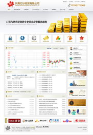 亿新科技 乐清网络服务的领航者，助力企业数字化转型