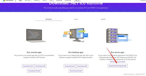 无法启动IIS Express Web服务器的常见原因及解决方案