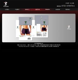 龙华观湖顺鼎宏电子公司网站建设案例